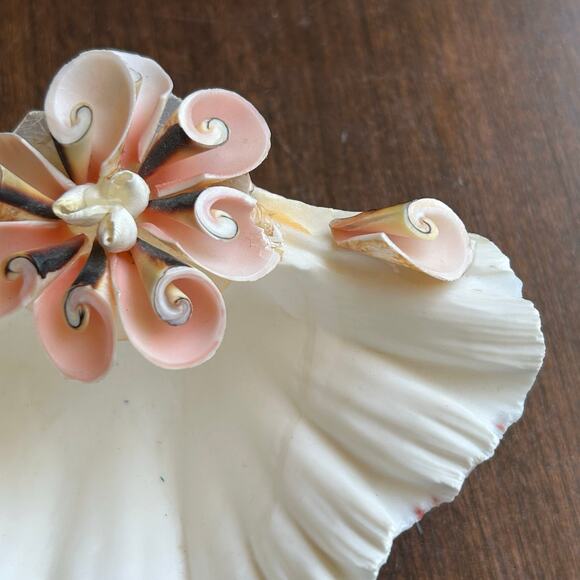 Natural clam shell soap dish - Picture 3 of 7